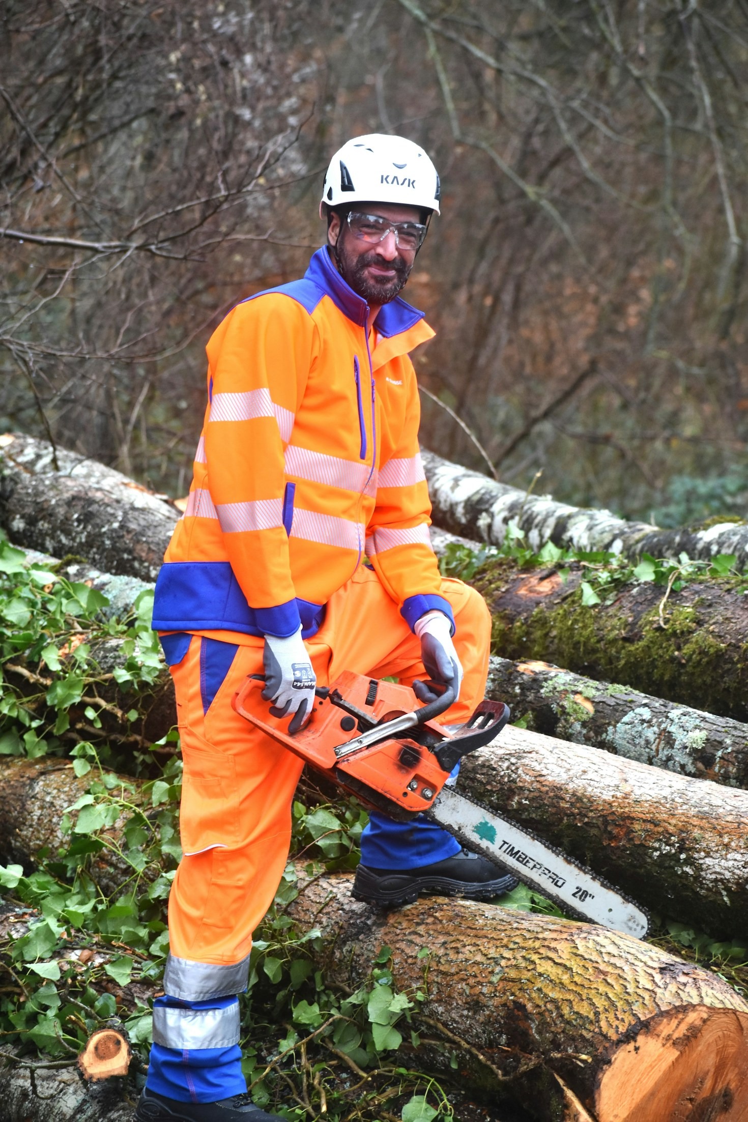 Warum eine professionelle Motorsägen-Schulung wichtig ist