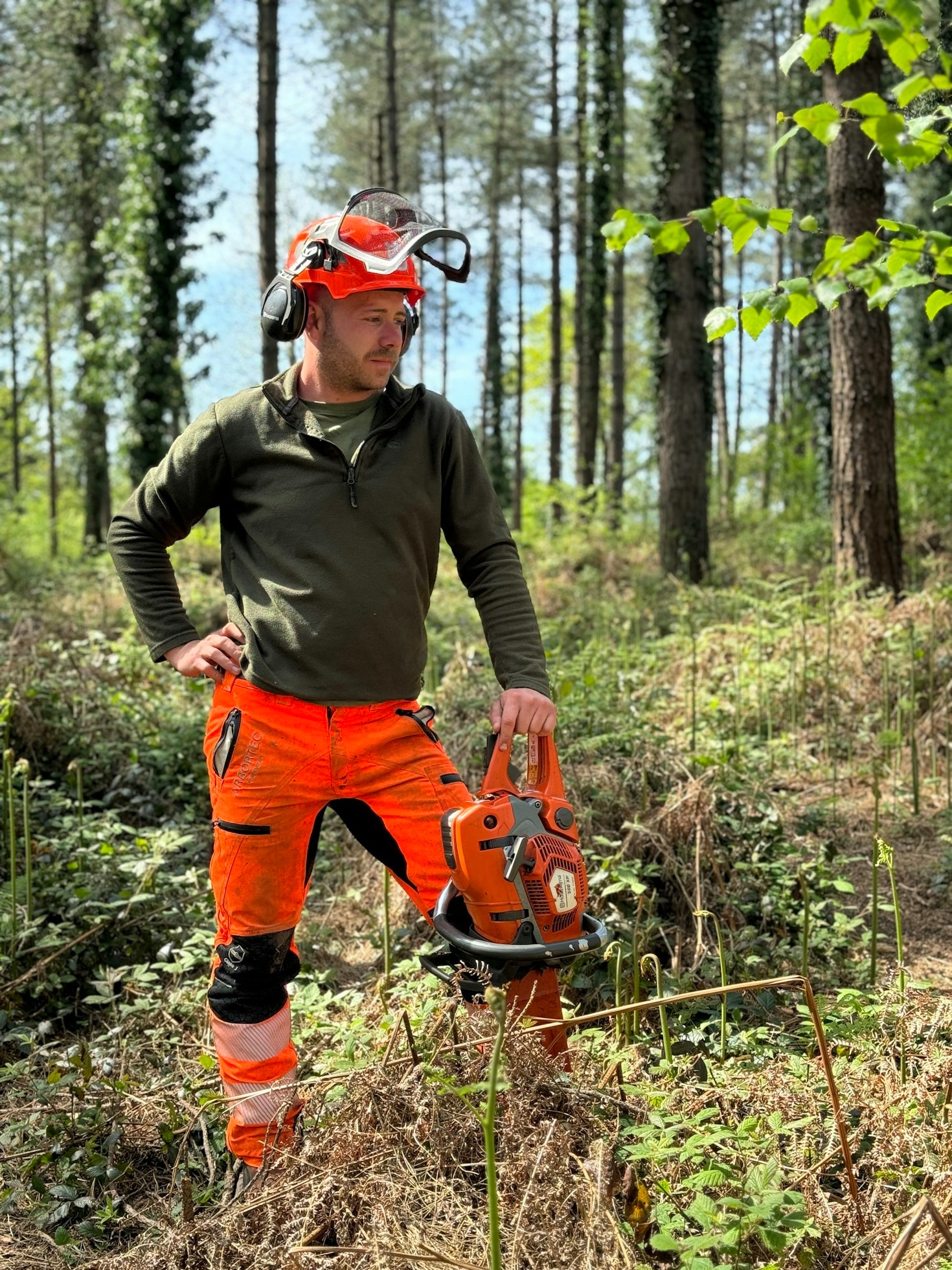 Wie man als Fachkraft die Motorsägen-Sicherheit steigert